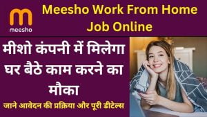 Meesho Work From Home Job Online
