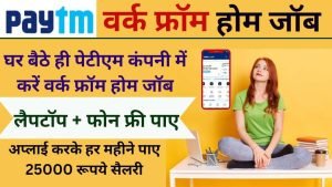 Paytm Work From Home Jobs 2024