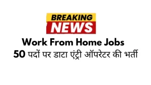 Work From Home Jobs 2024