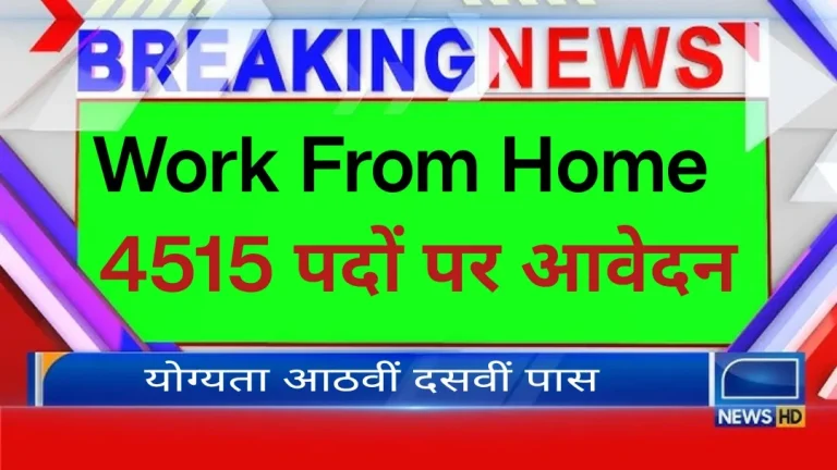 Govt Work From Home Job